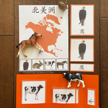 Load image into Gallery viewer, Montessori Animals and Continents Activity Pack