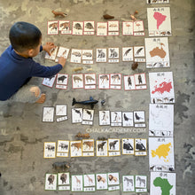 Load image into Gallery viewer, Montessori Animals and Continents Activity Pack