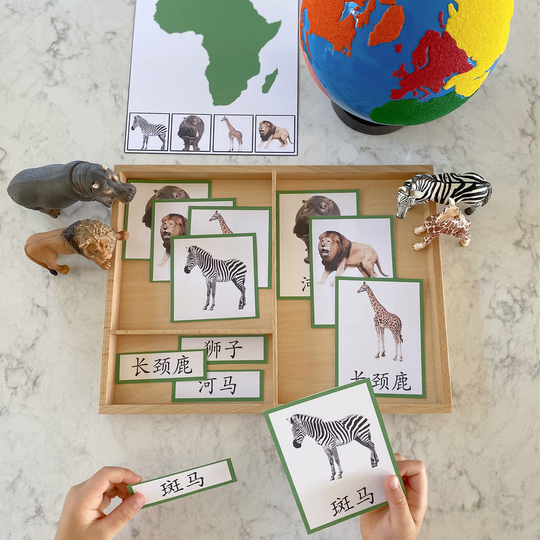 Montessori Animals and Continents Activity Pack