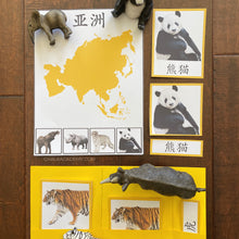 Load image into Gallery viewer, Montessori Animals and Continents Activity Pack