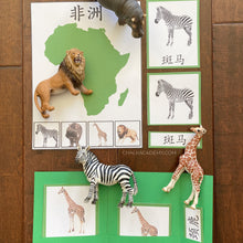 Load image into Gallery viewer, Montessori Animals and Continents Activity Pack