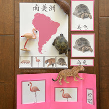 Load image into Gallery viewer, Montessori Animals and Continents Activity Pack