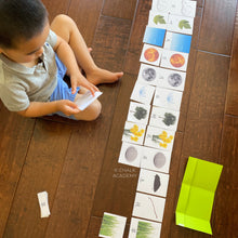 Load image into Gallery viewer, Montessori Nature 3-Part Cards in English, Chinese, and Korean