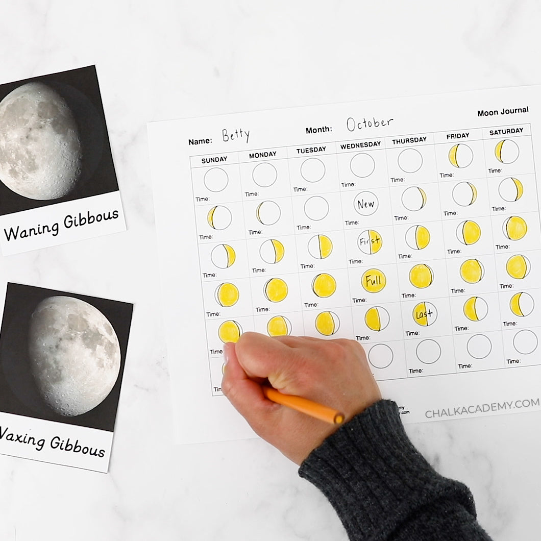 Moon Phase Journal | Free Printable in English and Chinese