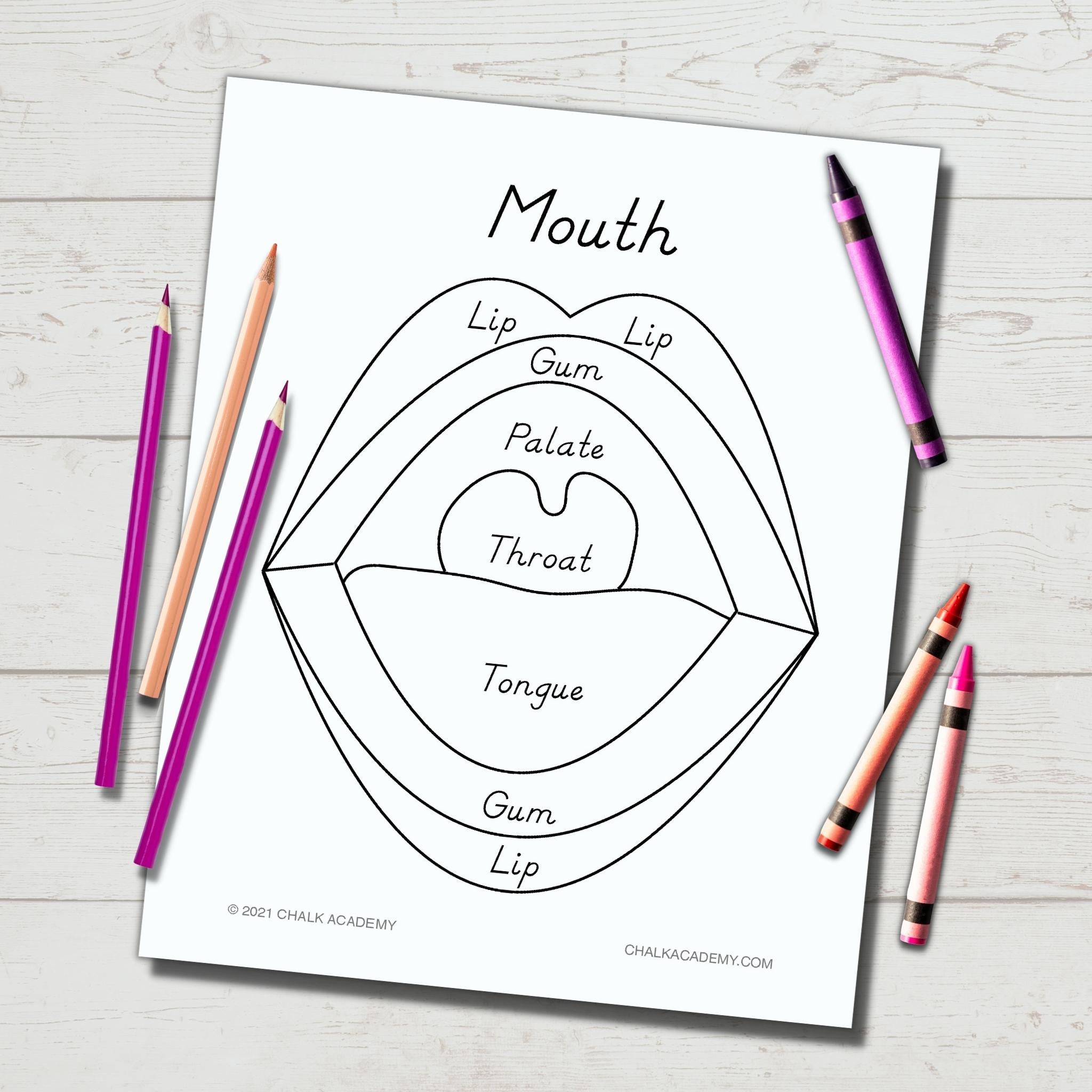 Mouth Coloring Page & DIY Puzzle – Chalk Academy