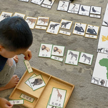 Load image into Gallery viewer, Montessori Animals and Continents Activity Pack
