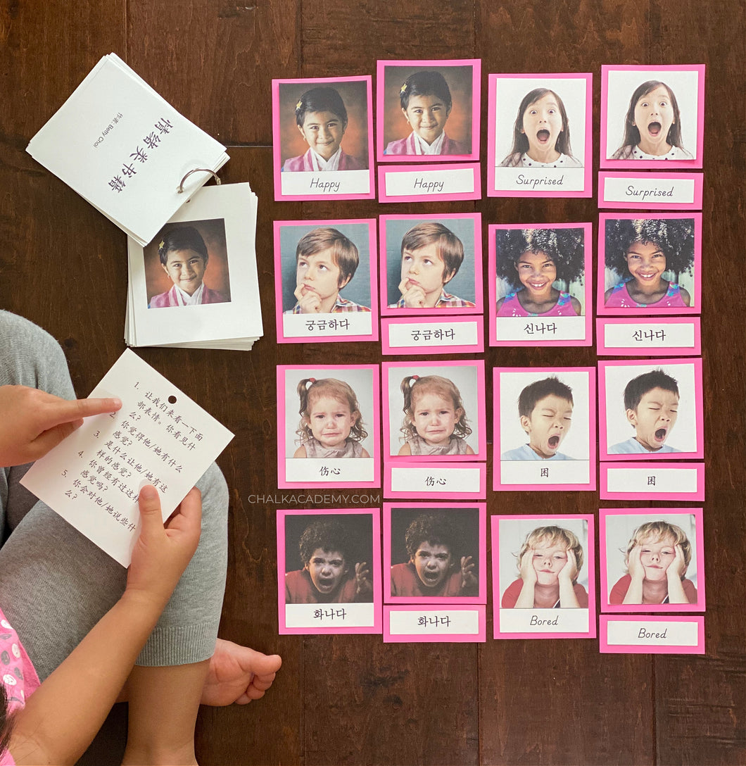 Emotions Book and 3-Part Cards Activity Pack