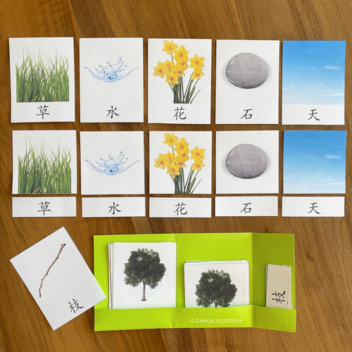 Montessori Nature 3-Part Cards in English, Chinese, and Korean